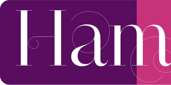 Narziss Pro Cyrillic