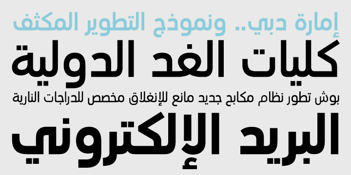 PF Din Text Arabic®