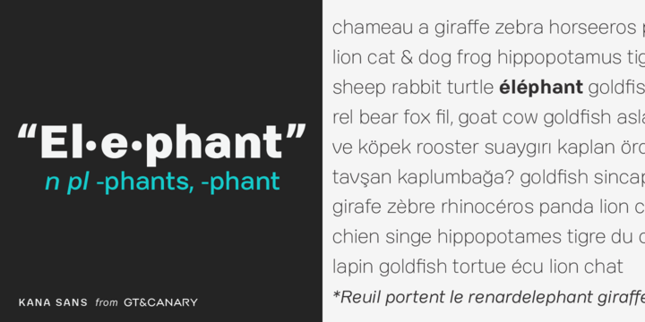 Kana Sans