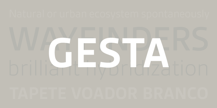Gesta™