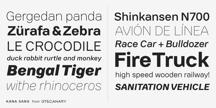 Kana Sans