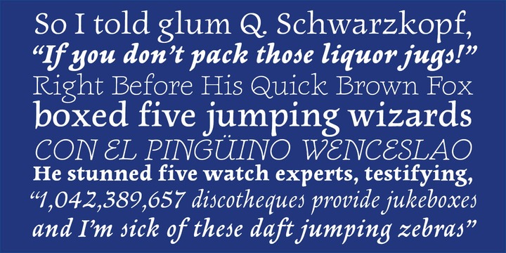 Newt Serif