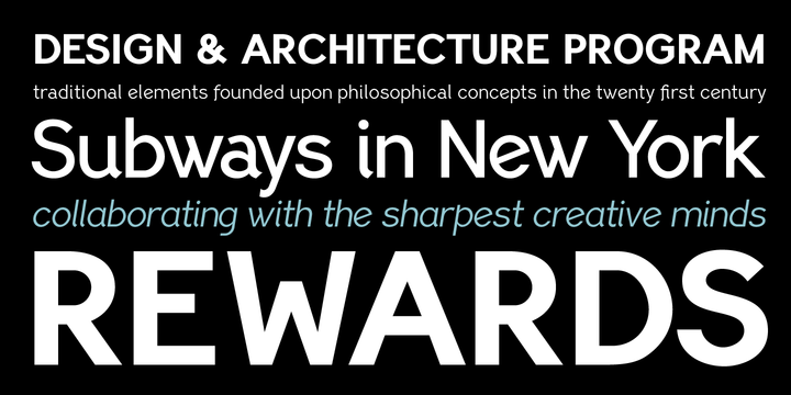 PF Lindemann Sans™