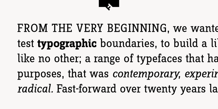FF Zine Slab Display®