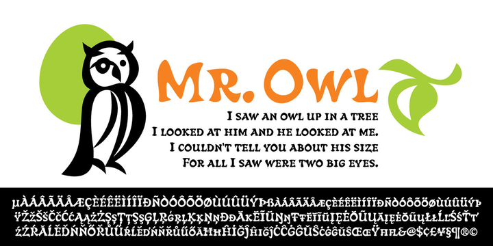 Owl