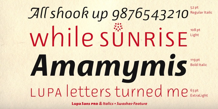 Lupa Sans Pro