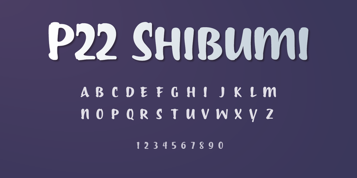 P22 Shibumi™