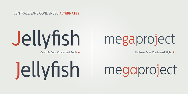 Centrale Sans Condensed
