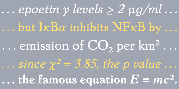 Dutch Mediaeval Book ST™