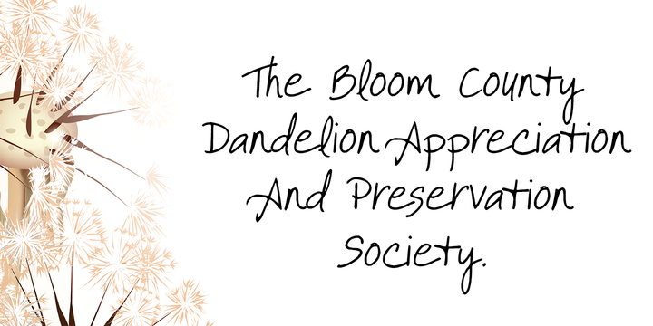 It Aint Rocket Science Pro