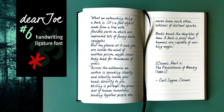 dearJoe 6