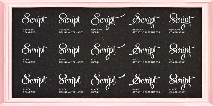 Powder Script