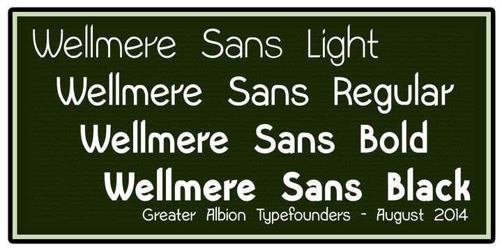 Wellmere Sans™
