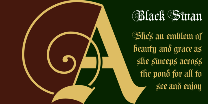 Black Swan BF™