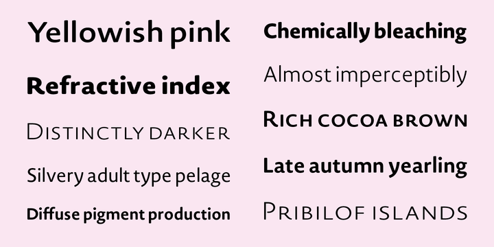 Novel Sans Rounded Pro™