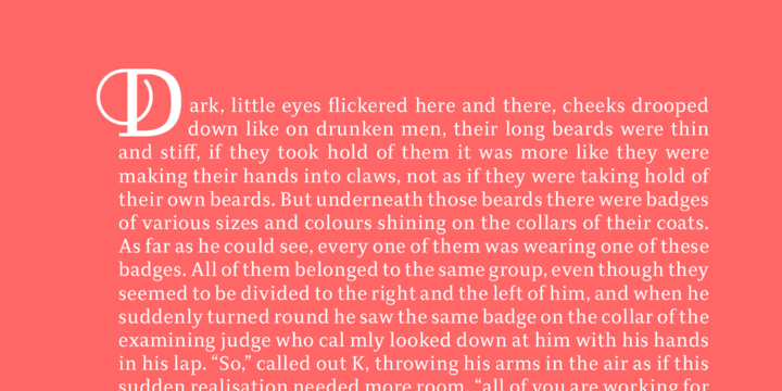 Diogenes Decorative™