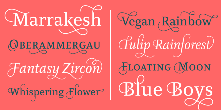 Diogenes Decorative™