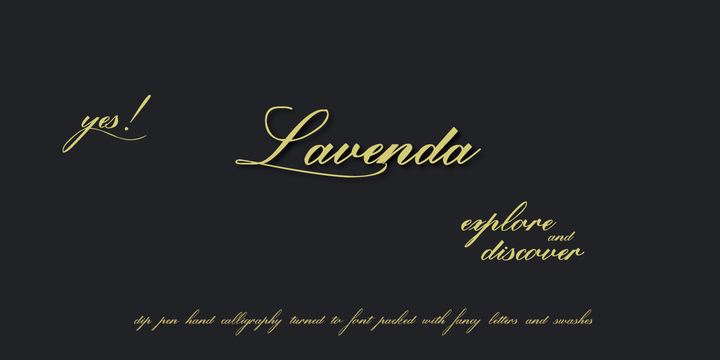 Lavenda