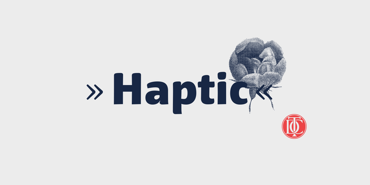 Haptic™