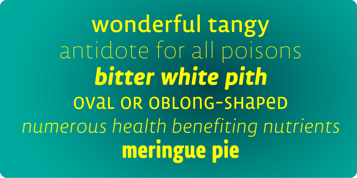 TD Lemon Sans Rounded