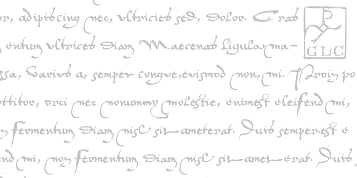 1536 Civilite Manual