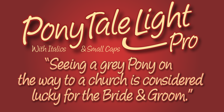Pony Tale Light Pro Pony Tale Light Pro