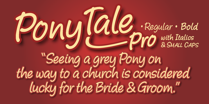 Pony Tale Pro