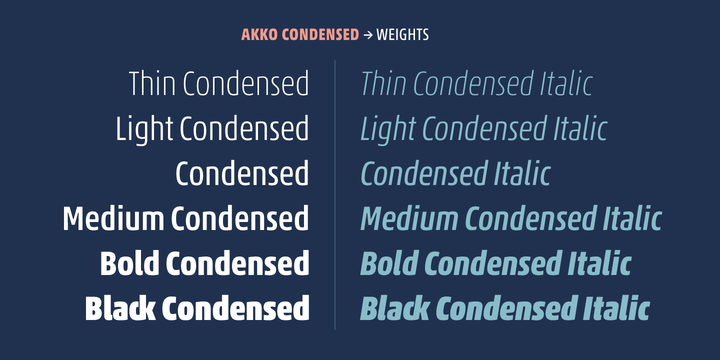 Akko Pro Condensed™