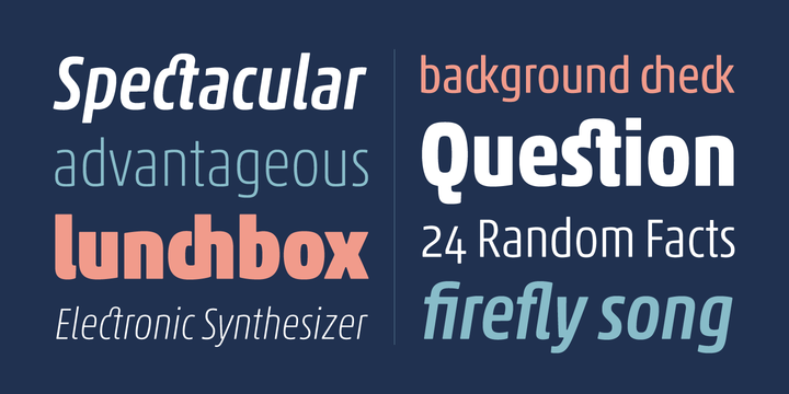 Akko Pro Condensed™