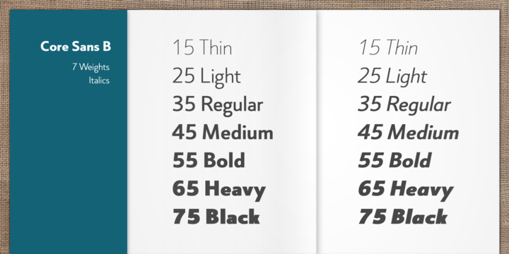 Core Sans B