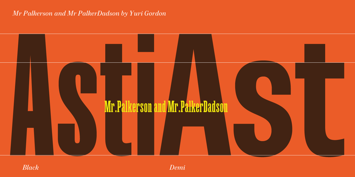 Mr Palker Dadson