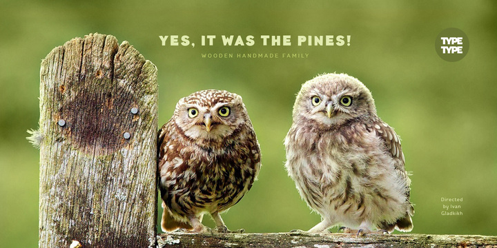 TT Pines