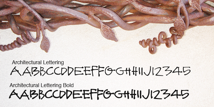 Architectural Lettering