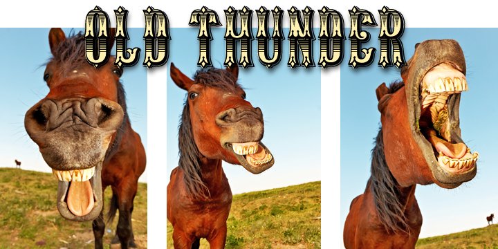 Old Thunder