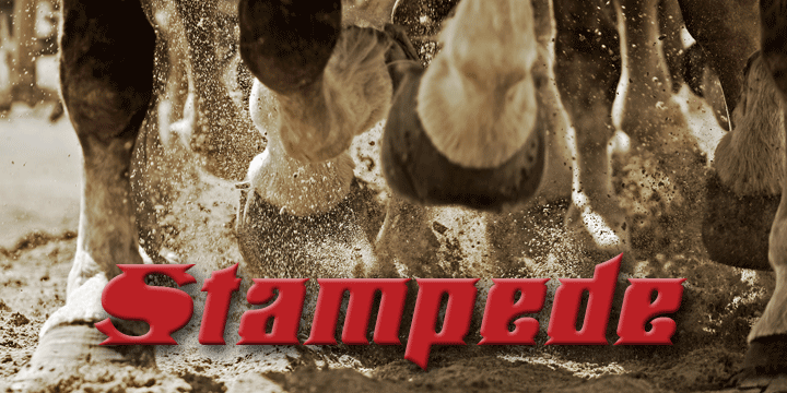 Stampede™