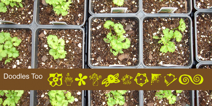 Doodles Too