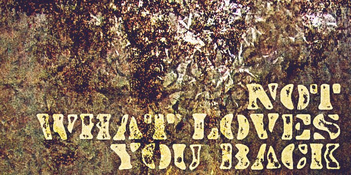 Dirty Baker’s Dozen