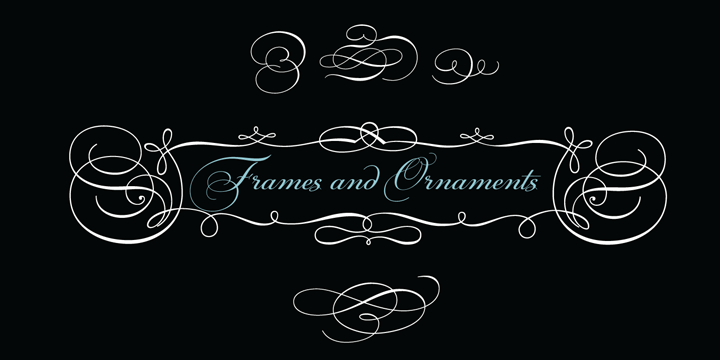 PF Champion Script Pro®