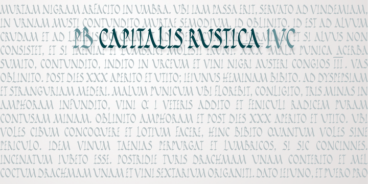PB Capitalis Rustica IVc