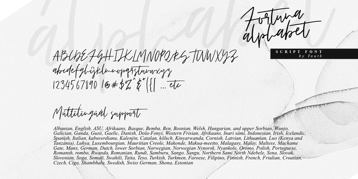 Fortune Script