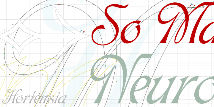 Hortensia™