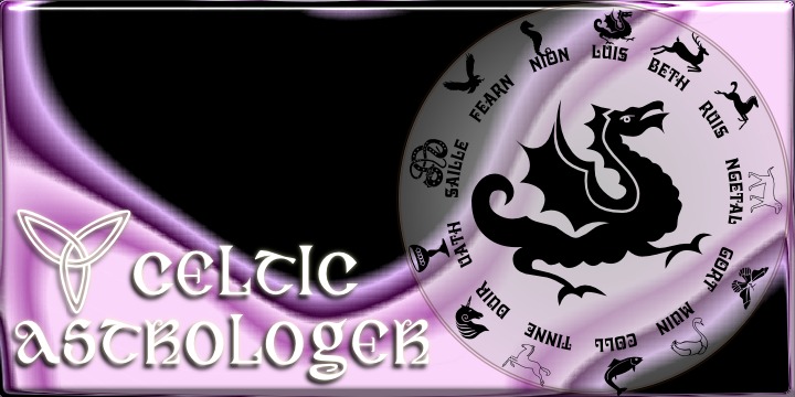 Celtic Astrologer Symbols