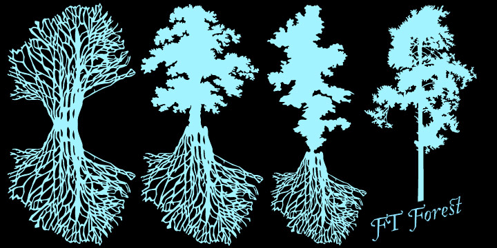FT Forest™