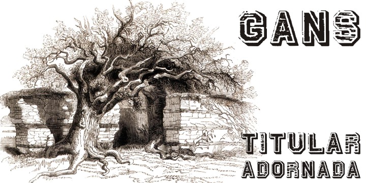 Gans Titular Adornada