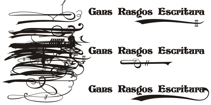 Gans Rasgos Escritura