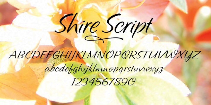 Shire Script™