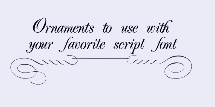 Calligraphia Latina Soft 4