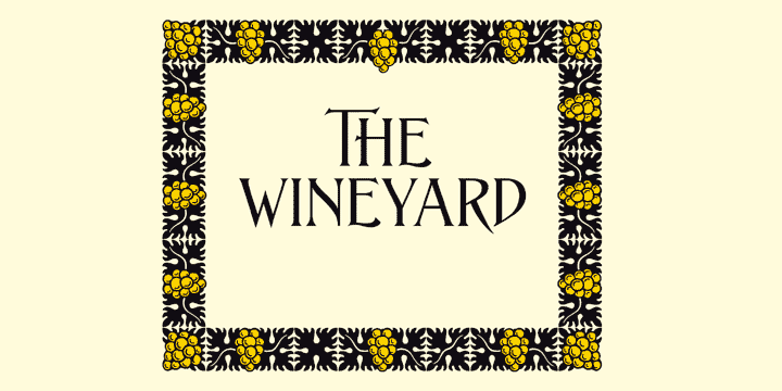 ASTYPE Ornaments Wine Grape A™