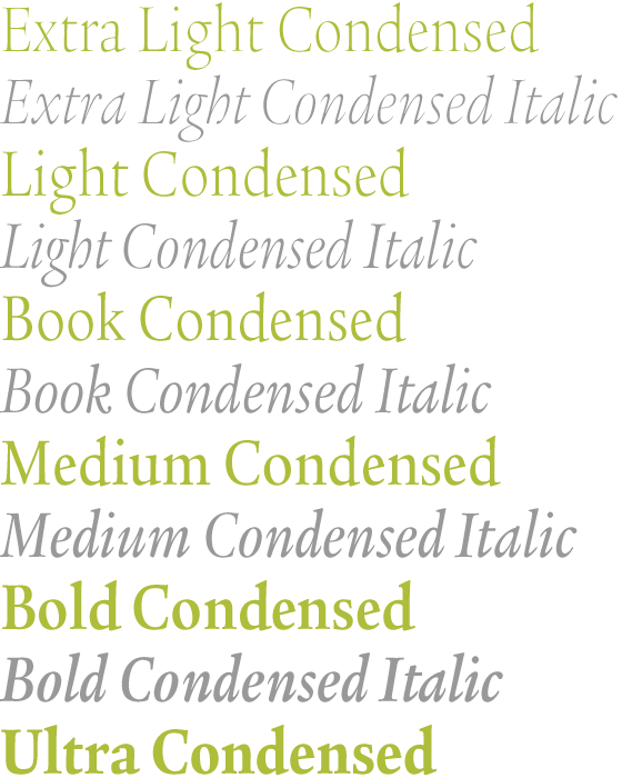 ITC Legacy Font Muster