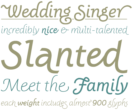 Wedding Singer usage sample